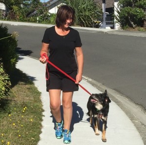 Allpets Wellington Pet Care Feeding - Dog Walking 2
