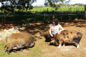 Homestay in Greytown