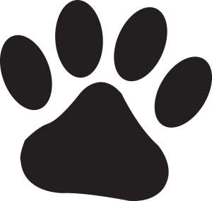Allpets Wellington Pet Care - Doggy Day Care Icon